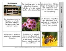 Leporello-Honigbiene-mit-Text.pdf